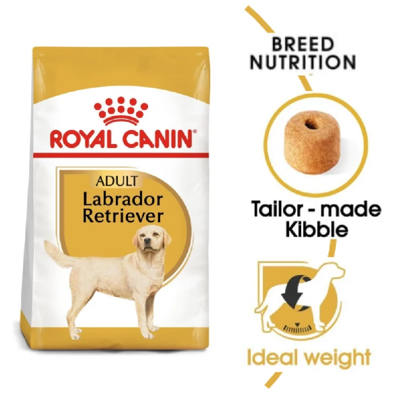 - The effect of dog food on hairRoyal Canin Labrador Retriever Adult Dog Dry Food